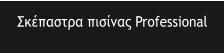��������� ������� Professional