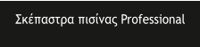 ��������� ������� Professional