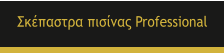 ��������� ������� Professional